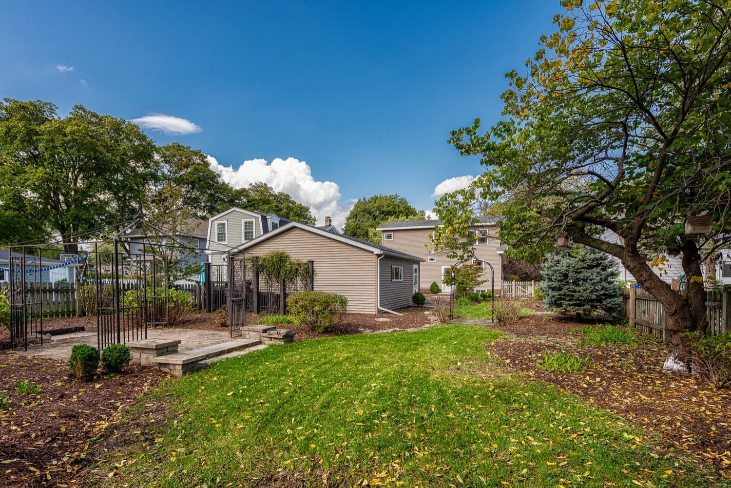 Wheaton Renovation - view of house from backyard. 