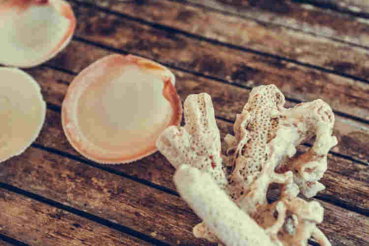 Bathroom water handle